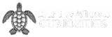 captivatingcuriosities.in